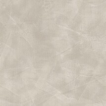 ライトグレー  コンクリート・モルタル   防かび  リリカラ LL-6009 