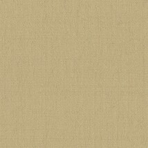 イエロー  織物調   防かび  リリカラ LL-6022 