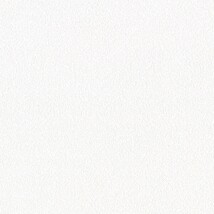 ホワイト  塗り壁調 トップコート  防かび  リリカラ LL-6033 旧品番LL-7716