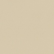 ベージュ  塗り壁調 トップコート  防かび  リリカラ LL-6035 