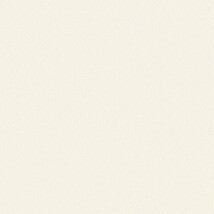 シャドーホワイト  塗り壁調 トップコート  防かび  リリカラ LL-6037 旧品番LL-7718