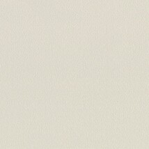 ライトグレー  塗り壁調 トップコート  防かび  リリカラ LL-6038 