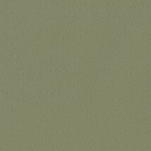 グリーン  塗り壁調 トップコート  防かび  リリカラ LL-6043 