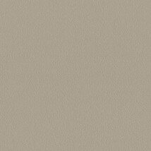 グレー  塗り壁調 トップコート  防かび  リリカラ LL-6045 