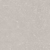 ライトグレー  コンクリート・モルタル   防かび  リリカラ LL-6118 