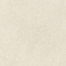 ライトグレー  コンクリート・モルタル   防かび  リリカラ LL-6120 