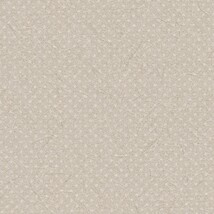 ライトグレー  ドット トップコート  防かび  リリカラ LL-6248 旧品番LL-7610