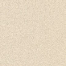 ベージュ  塗り壁調 トップコート  防かび  リリカラ LL-6261 旧品番LL-7400