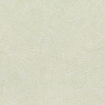 グリーン  抽象デザイン   防かび  リリカラ LL-6269 旧品番LL-7384