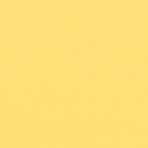 イエロー  無地 トップコート  防かび 抗菌  リリカラ LL-6303 