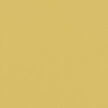 イエロー  無地 トップコート  防かび 抗菌  リリカラ LL-6304 