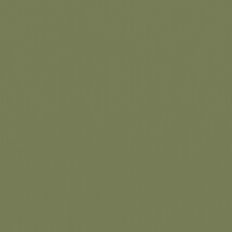 グリーン  無地 トップコート  防かび 抗菌  リリカラ LL-6308 