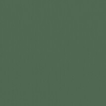 グリーン  無地 トップコート  防かび 抗菌  リリカラ LL-6309 