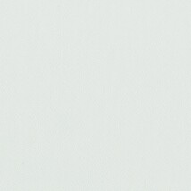 ライトグレー  無地 トップコート  防かび 抗菌  リリカラ LL-6310 