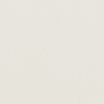 ライトグレー  無地 トップコート  防かび 抗菌  リリカラ LL-6316 