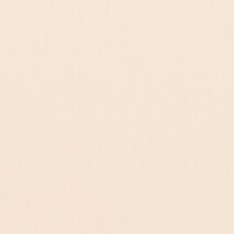 ピンク  無地 トップコート  防かび 抗菌  リリカラ LL-6320 