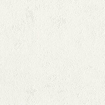 シャドーホワイト  塗り壁調   防かび  リリカラ LL-6328 