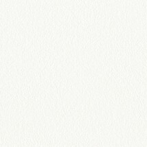 ホワイト  塗り壁調   防かび  リリカラ LL-6348 