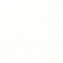 ホワイト  塗り壁調 トップコート  防かび  リリカラ LL-6356 旧品番LL-7709