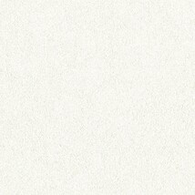 ホワイト  塗り壁調   防かび  リリカラ LL-6419 