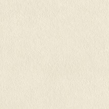 ベージュ  塗り壁調   防かび  リリカラ LL-6445 旧品番LL-7098