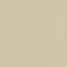 ライトブラウン  塗り壁調   防かび  リリカラ LL-6446 旧品番LL-7099