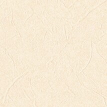 アイボリー  塗り壁調   防かび  リリカラ LL-6459 旧品番LL-7123