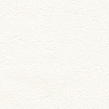 ホワイト  塗り壁調   防かび 抗菌  リリカラ LL-6555 旧品番LL-7183