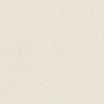 シャドーホワイト  塗り壁調   防かび 抗菌  リリカラ LL-6557 