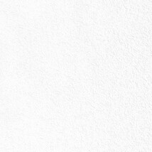 ホワイト  塗り壁調 トップコート  抗菌 表面強化 防かび  リリカラ LL-6558 旧品番LL-7665