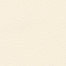 ベージュ  塗り壁調 トップコート  抗菌 表面強化 防かび  リリカラ LL-6560 旧品番LL-7666