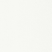 ホワイト  塗り壁調 トップコート  防かび  リリカラ LL-6566 旧品番LL-7694