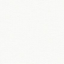 ホワイト  織物調 トップコート  防かび  リリカラ LL-6585 旧品番LL-7736