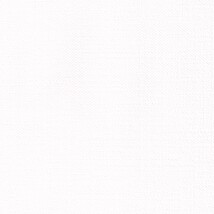 ホワイト  織物調   抗菌 表面強化 防かび  リリカラ LL-6620 