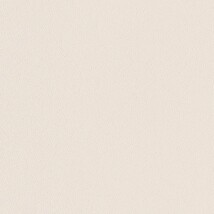 ライトグレー  塗り壁調   汚れ防止 抗菌 表面強化 防かび  リリカラ LL-6629 旧品番LL-7895