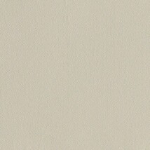 グレー  塗り壁調   汚れ防止 抗菌 表面強化 防かび  リリカラ LL-6634 旧品番LL-7898