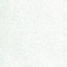 ライトブルー  塗り壁調   汚れ防止 抗菌 表面強化 防かび  リリカラ LL-6679 旧品番LL-7942