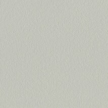 ライトグレー  塗り壁調   汚れ防止 消臭 抗菌 防かび  リリカラ LL-6698 