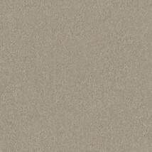 ライトブラウン  塗り壁調   汚れ防止 消臭 抗菌 防かび  リリカラ LL-6710 