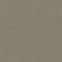 ブラウン  塗り壁調   汚れ防止 消臭 抗菌 防かび  リリカラ LL-6711 