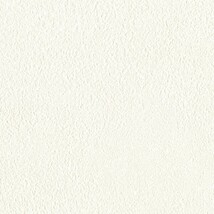 ホワイト  塗り壁調   汚れ防止 消臭 抗菌 防かび  リリカラ LL-6717 