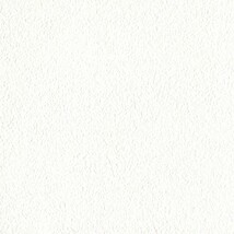 ホワイト  塗り壁調   汚れ防止 消臭 抗菌 防かび  リリカラ LL-6766 旧品番LL-7852