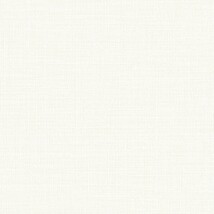 ホワイト  織物調   汚れ防止 消臭 抗菌 防かび  リリカラ LL-6780 