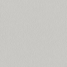 ライトグレー  塗り壁調   消臭 抗菌 防かび  リリカラ LL-6821 