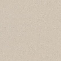 ライトグレー  塗り壁調   消臭 抗菌 防かび  リリカラ LL-6828 