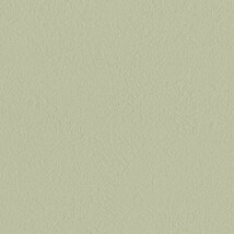 グリーン  塗り壁調   消臭 抗菌 防かび  リリカラ LL-6829 