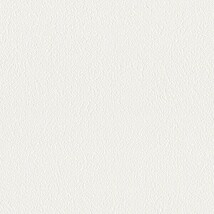 シャドーホワイト  塗り壁調 トップコート  防かび 抗菌 表面強化 消臭  リリカラ LL-6845 