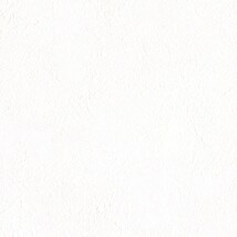 ホワイト  塗り壁調 トップコート  防かび 抗菌 表面強化 消臭  リリカラ LL-6846 旧品番LL-7794