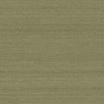 グリーン  織物調 トップコート  消臭 抗菌 防かび  リリカラ LL-6879 