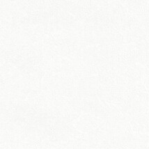 ホワイト  塗り壁調   抗ウィルス 抗菌 防かび  リリカラ LL-6884 旧品番LL-7556